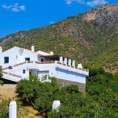 Вілла Cortijo Los Madronos Фріхіліана Екстер'єр фото